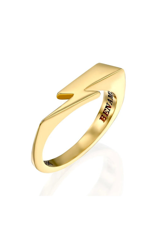 Barak Gold Ring — image 3 of 8