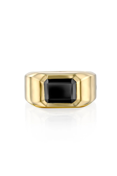 Ari Signet Ring — image 6 of 9