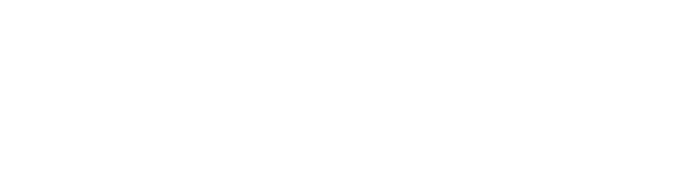 BENAMI logo (white, transparent)