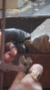 BENAMI personal design